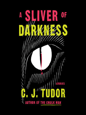 cover image of A Sliver of Darkness